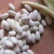 Import White Kidney Beans Long and Round shape from China