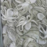 Whole Cleaned Giant and Baby Octopus