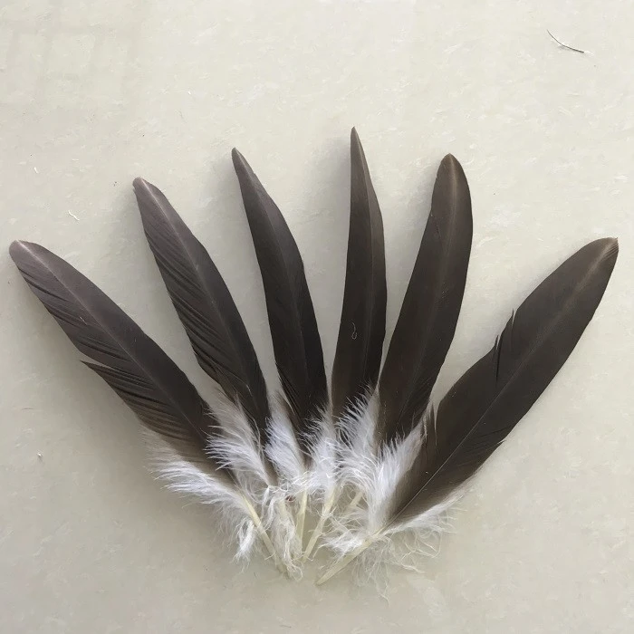 Wholesale 11-14 inches / 30-35cm Natural Eagle Feathers condor feather, DIY Decoration Show