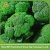 Import Wholesale bulk fresh broccoli price from China