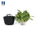 Import wholesale custom trimmed planter grow bag white pot garden felt grow bags for plants trees from China