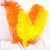 Import Wholesale Hight Quality Hair decoration Large size Natural Ostrich Feathers from China