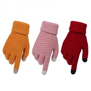 Wholesale Ladies Heat Cold Resistant Winter Gloves Warm Fashion Touch Screen Gloves Winter