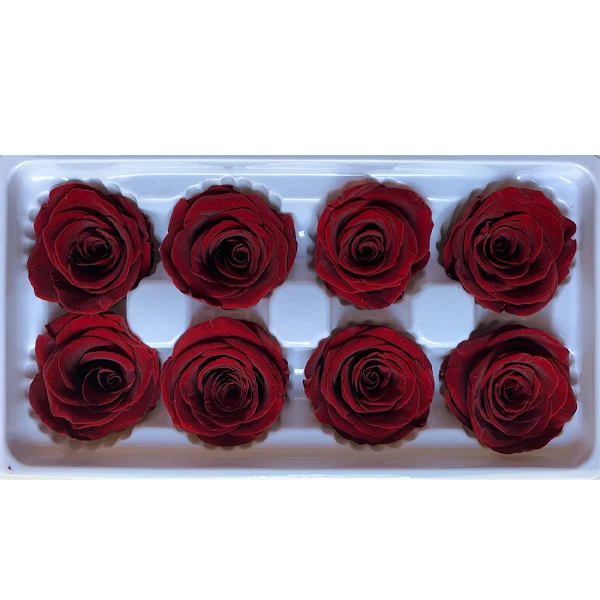 wholesale multicolor forever roses real preserved roses