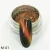 Import wholesale Pink to Color change chrome Chameleon 3D cat eye magnetic nail art pigment from China