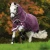 Import winter  HORSE RUGS from Pakistan