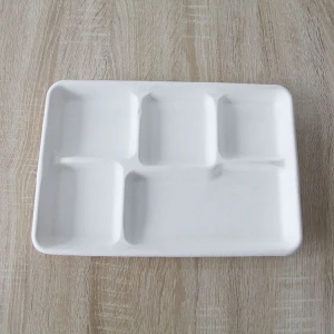 Compostable and environmentally friendly disposable 5 compartment tray