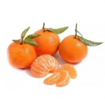 Cheap Fresh Oranges/ Tangerine/Mandarine