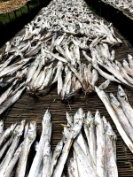 Dry Ribbon Fish