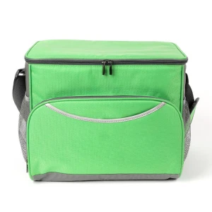 2024 Hot Selling Promotion Custom Waterproof Picnic Food Bag Lunch Bbq Non Woven Insulated Lunch The