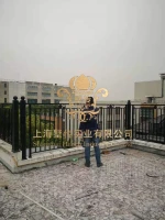 hotsale galvanized wrought iron fence panels for sale wholesale,aluminum fence panelf wholesale