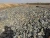 Import Antimony ore from Chad