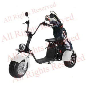 Electric Golf Course Cart 3 wheels Citycoco Scooter 2000 Watts