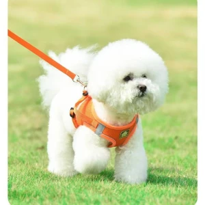 Custom Eco-Friendly Dog Leashes, Low MOQ, Fast Delivery for Pet Retailers