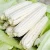 Import Super Fine White Maize Meal and Yellow Maize Meal from South Africa