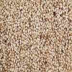 Quality Grade Sesame Seeds for Oil Extraction