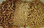 Feed Grade Sunflower Seed Meal Granulated For Sale