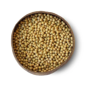 Reliable Supplier of Yellow Soybeans – High Purity & Moisture Controlled