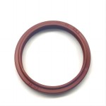 FKM Hydraulic Oil Seals