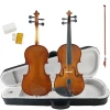 Chinese Solid Beginner Student Violin with Good Quality