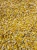 Import Super Fine White Maize Meal and Yellow Maize Meal from South Africa