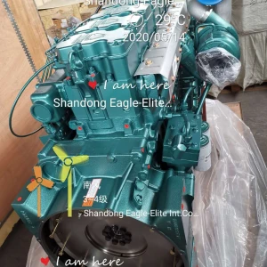 Sinotruk howo engine assembly and parts
