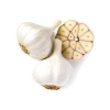 Bulk supply of Fresh Garlic with strong aroma and long shelf life
