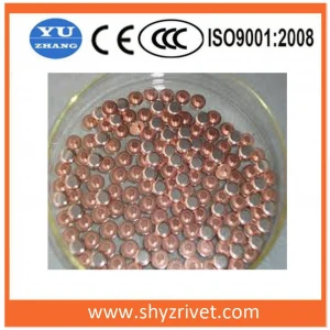 Rivet Silver Copper Contact for Circuit Breaker