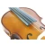 Import Chinese Solid Beginner Student Violin with Good Quality from China