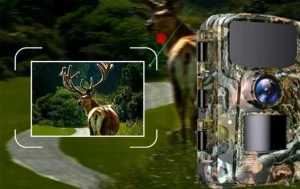 Security Camera, Motion Camera Solution
