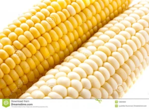 Yellow Corn White Corn From Tanzania Tradewheel Com