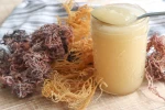Raw Organic Sea Moss