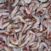 Best Quality Crystal Red Shrimp Delicious Fresh Frozen Seafood Headless Packaged in Bag