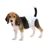 Lechen Sanitary Dog Diapers-Pet Nappies for Toilet Training & Hygiene