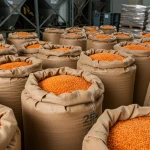 Freshly processed Red Lentil available for bulk shipment while maintaining aroma with Red Lentil offering