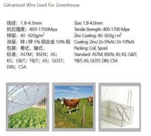 Wire Product
