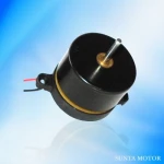 DC AXIAL MOTOR
