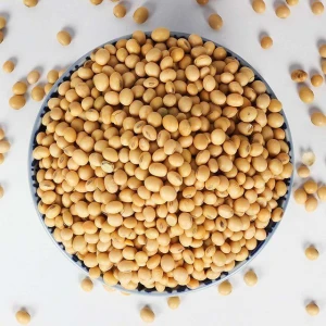Good Soya Edamame Non GMO Mature Beans