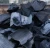 Import Premium Grade Charcoal for Global Export from Nigeria