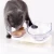 Import Laifug Elevated Cat Bowls from USA