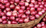 Fresh Red Onions in wholesale