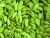 Import Cardamom from Thailand