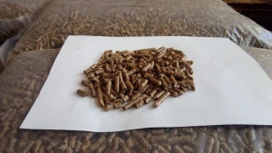 Wood pellet EN-Plus A1