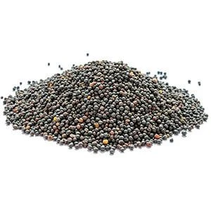 High-Quality Grape Seeds – Raw, Dried & Cleaned | Suitable for Oil & Extract