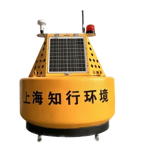 Buoy Type Online Monitoring System