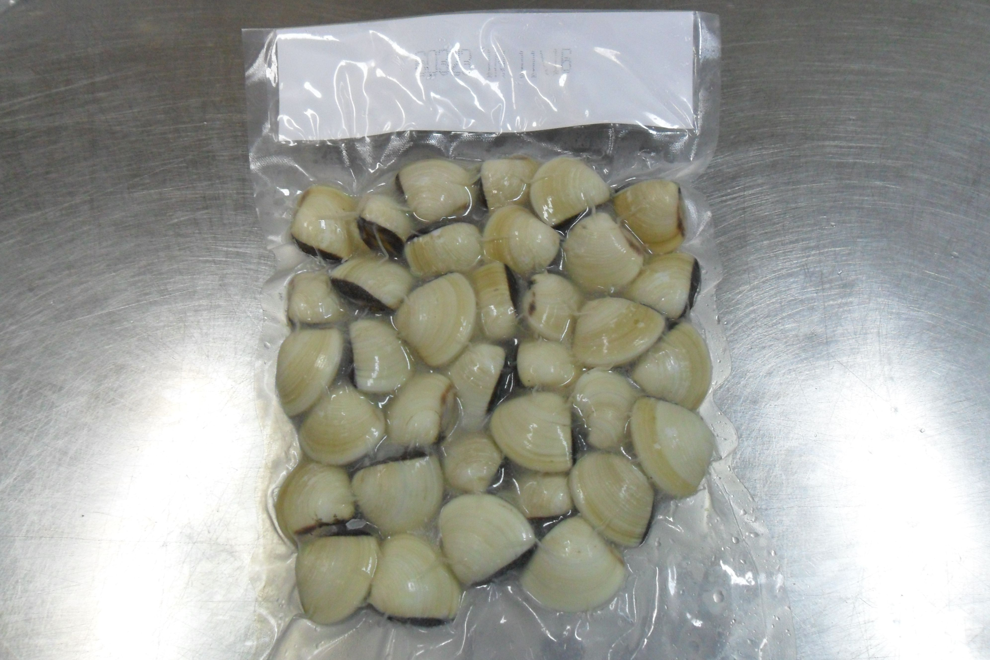 Buy Frozen Cooked White Clam Whole Shell from Ben Tre Seafood Joint