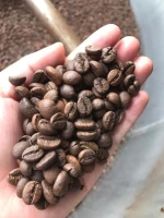 Private Label High Quality OEM 1kg Bag Medium Roasted Coffee Blend 100% Arabica & Robusta Whole Coffee Beans Home Offic
