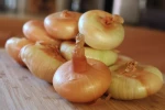 Low cost Cipollini Onions for trade