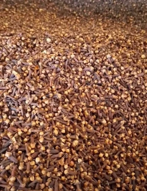 Clove