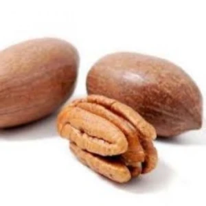 Pecanl Nuts Pecans Top Grade Pecanl Nuts High Quality Pecans